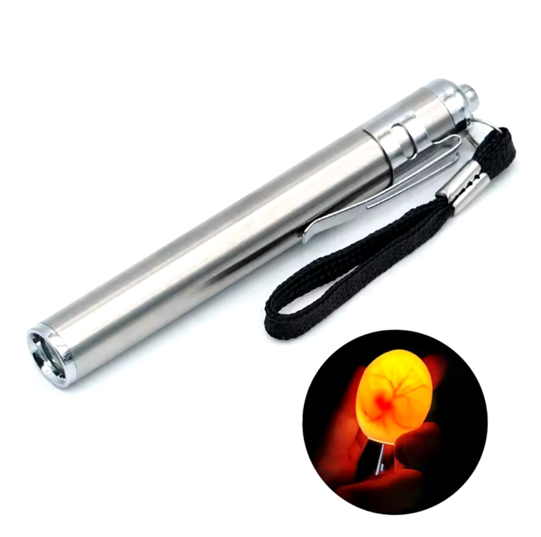 lampe mire œufs d'oiseau