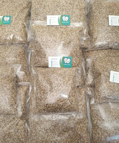 graines laiteux Galactites tomentosa 1kg